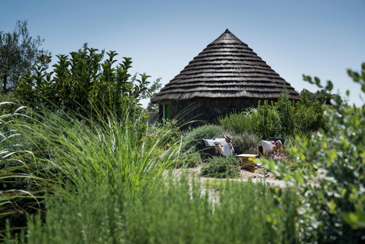 Is Cheas Wine Farm Boutique Hotel San Vero Milis Εξωτερικό φωτογραφία