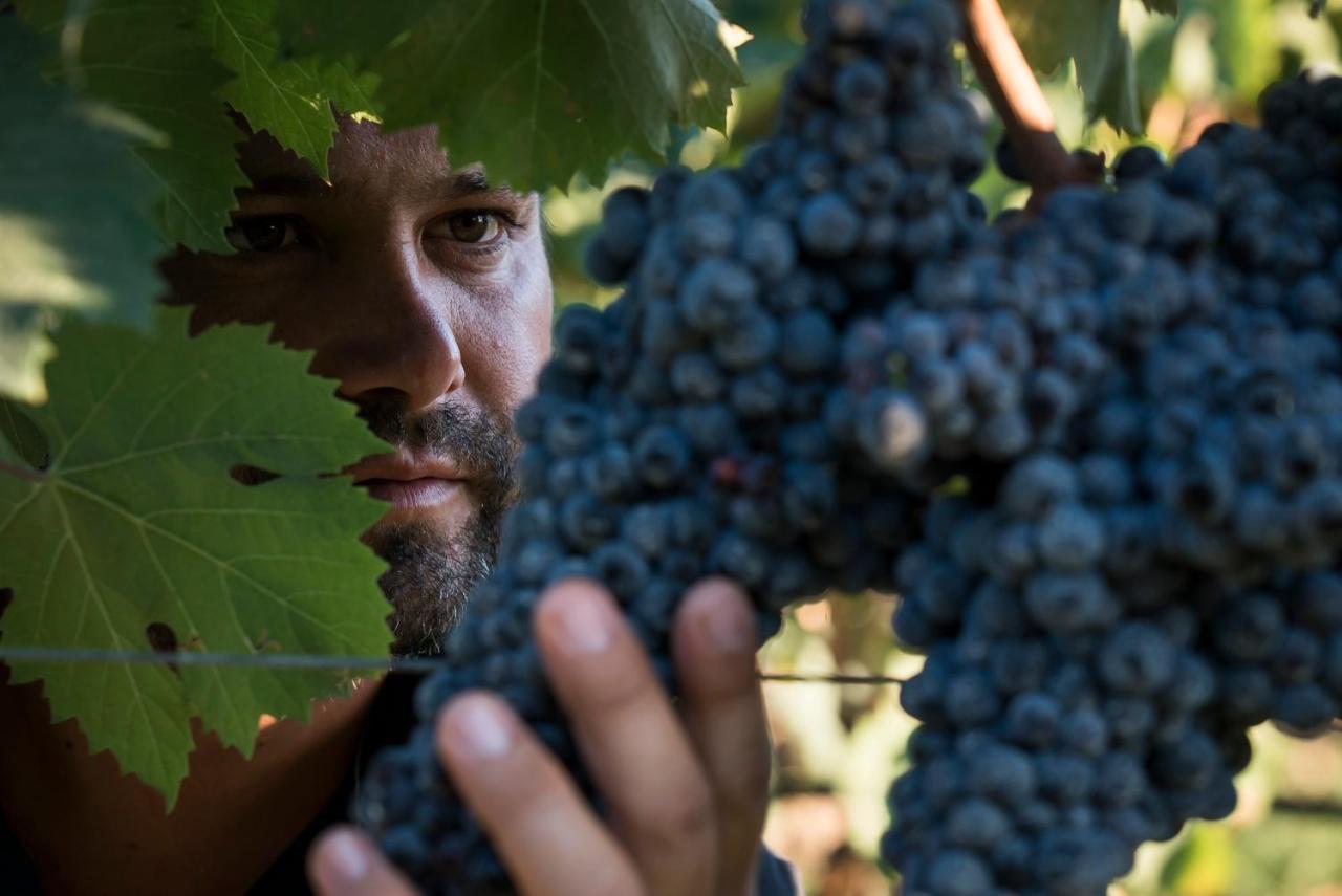 Is Cheas Wine Farm Boutique Hotel San Vero Milis Εξωτερικό φωτογραφία