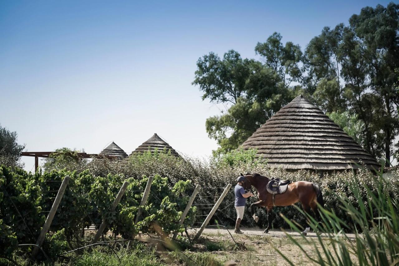 Is Cheas Wine Farm Boutique Hotel San Vero Milis Εξωτερικό φωτογραφία