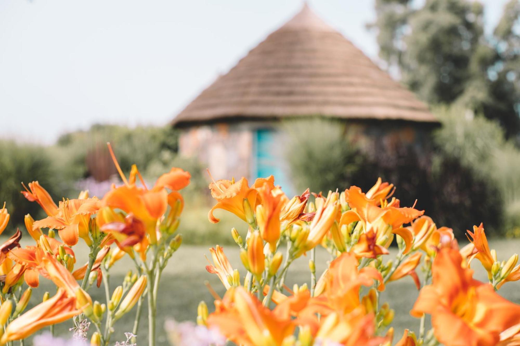 Is Cheas Wine Farm Boutique Hotel San Vero Milis Δωμάτιο φωτογραφία