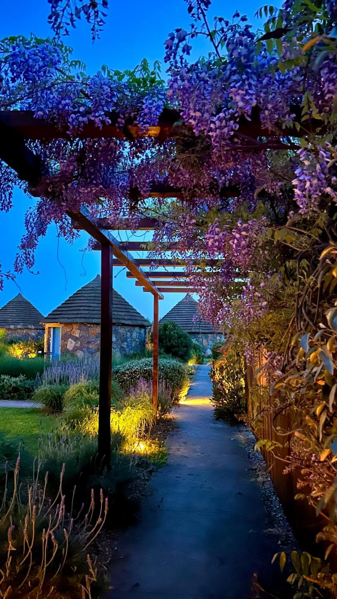 Is Cheas Wine Farm Boutique Hotel San Vero Milis Εξωτερικό φωτογραφία