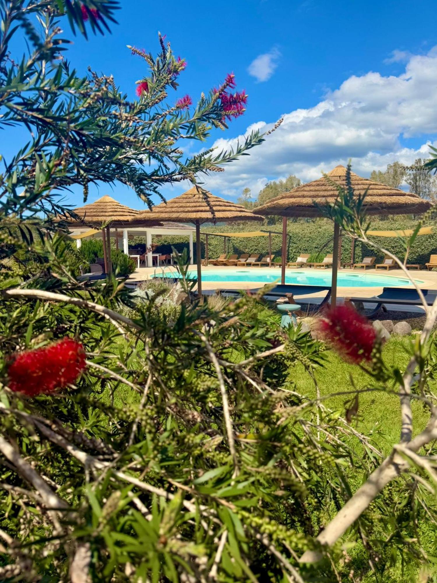 Is Cheas Wine Farm Boutique Hotel San Vero Milis Εξωτερικό φωτογραφία